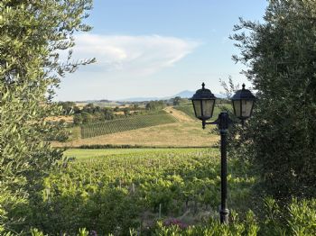 I miei Viaggi